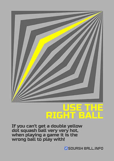Use The Right Squash Ball