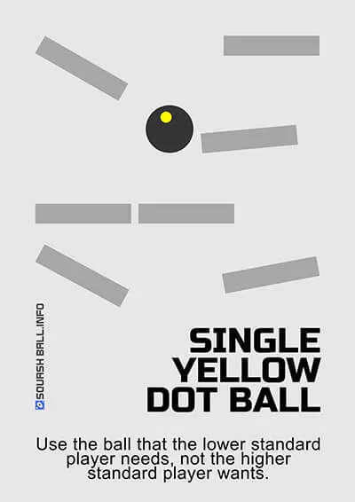 Use The Right Squash Ball