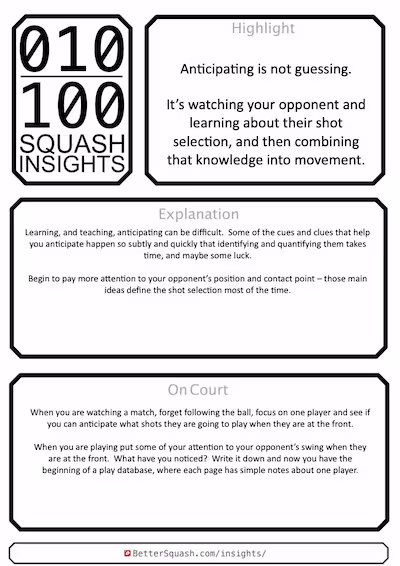 Squash Insight 010