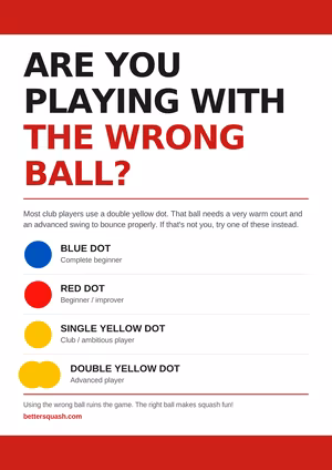Right Ball Poster 1 — click to view PDF